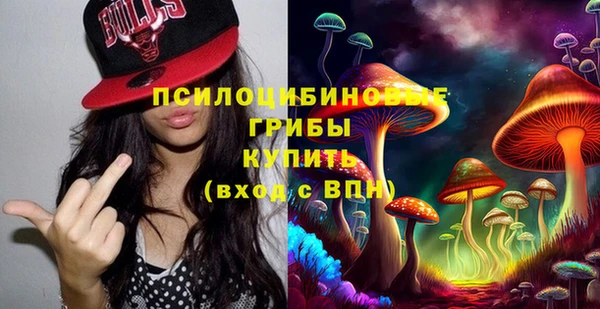 тгк Алзамай