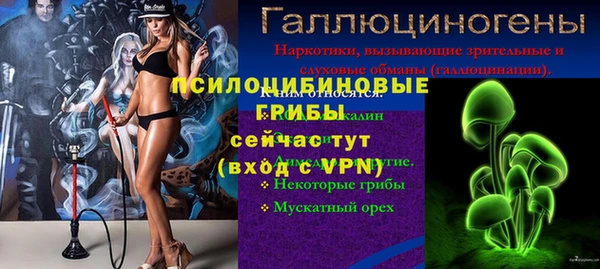 тгк Алзамай