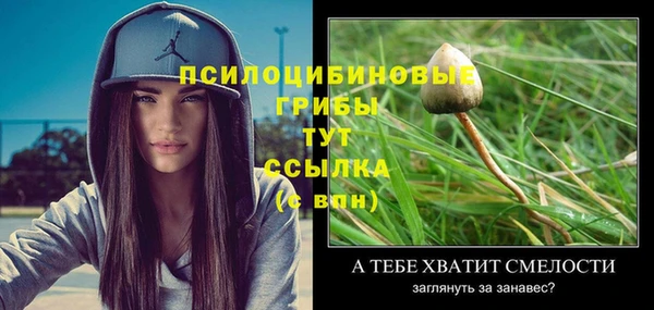 тгк Алзамай