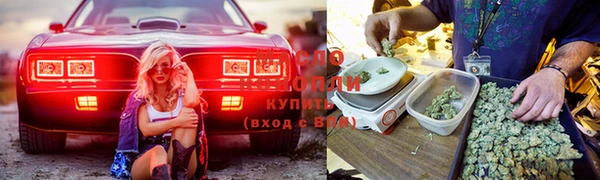 тгк Алзамай